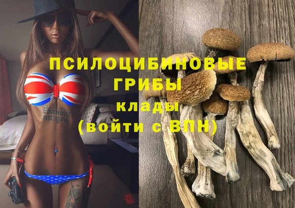 Альфа ПВП Белокуриха